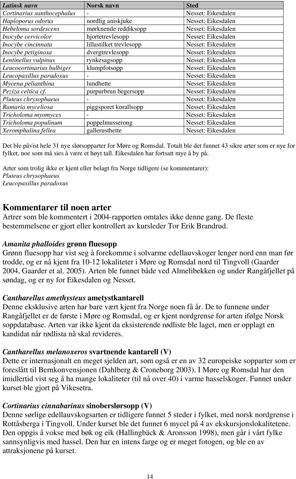 Nesset: Eikesdalen Leucocortinarius bulbiger klumpfotsopp Nesset: Eikesdalen Leucopaxillus paradoxus - Nesset: Eikesdalen Mycena pelianthina lundhette Nesset: Eikesdalen Peziza celtica cf.