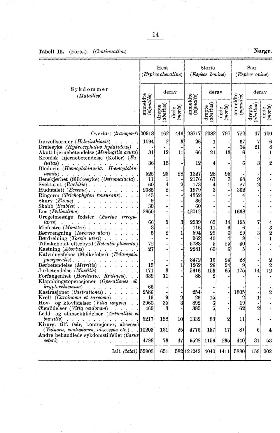 Overfort (transport) Innvollsormer (Helminthiasis) Dreiesyke (Hydrocephalus hydatideus) kutt hjernebetendelse (Meningitis acut Kronisk hjernebetenclelse (Koller) (Fa- 6 tuitas) 6 Blodurin