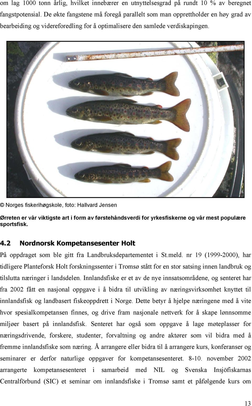 Norges fiskerihøgskole, foto: Hallvard Jensen Ørreten er vår viktigste art i form av førstehåndsverdi for yrkesfiskerne og vår mest populære sportsfisk. 4.