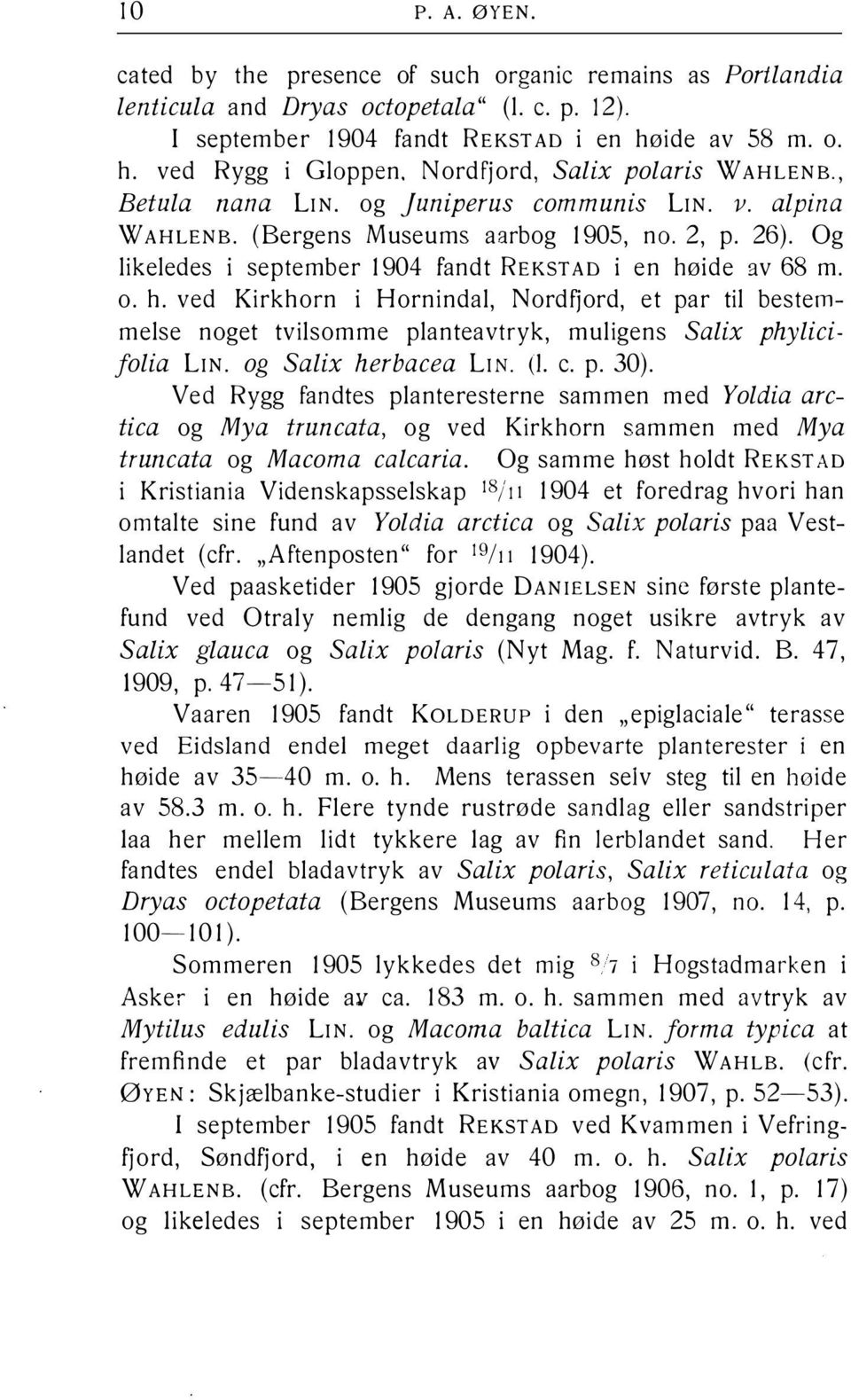 Og likeledes i september 1904 fandt REKSTAD i en høide av 68 m. o. h. ved Kirkhorn i Hornindal, Nordfjord, et par til bestemmelse noget tvilsomme planteavtryk, muligens Salix phylicifolia LIN.