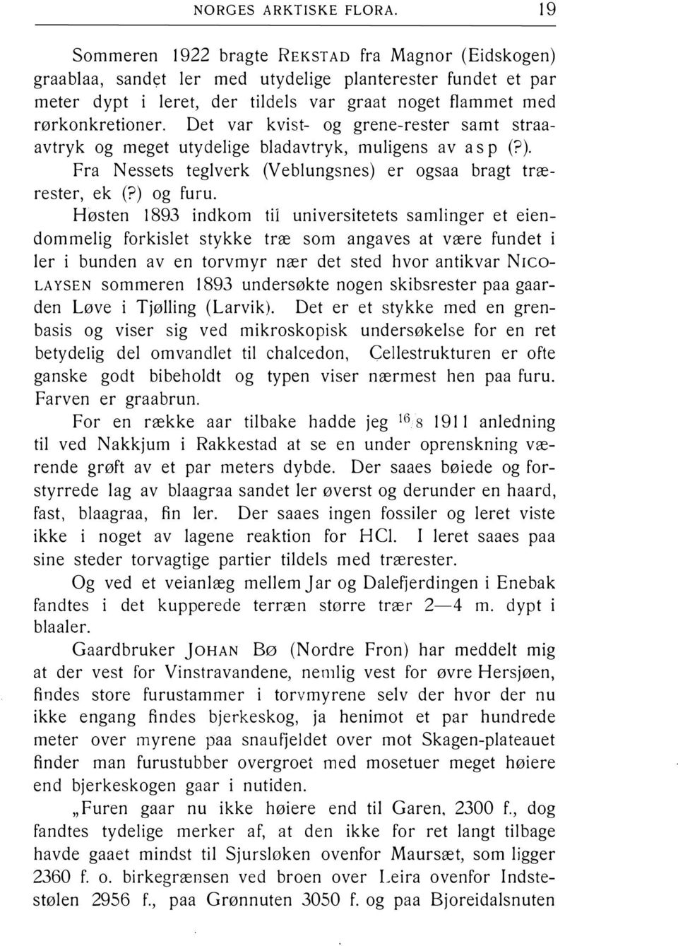 Det var kvist- og grene-rester samt straaavtryk og meget utydelige bladavtryk, muligens av as p (?). Fra Nessets teglverk (Veblungsnes) er ogsaa bragt trærester, ek (?) og furu. Høsten!