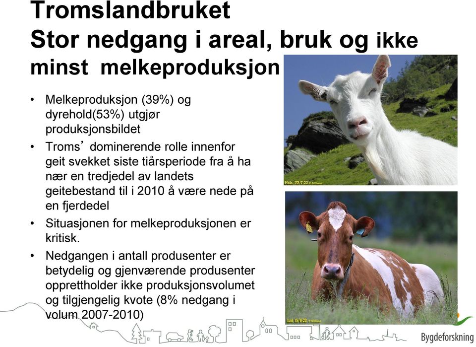 geitebestand til i 2010 å være nede på en fjerdedel Situasjonen for melkeproduksjonen er kritisk.