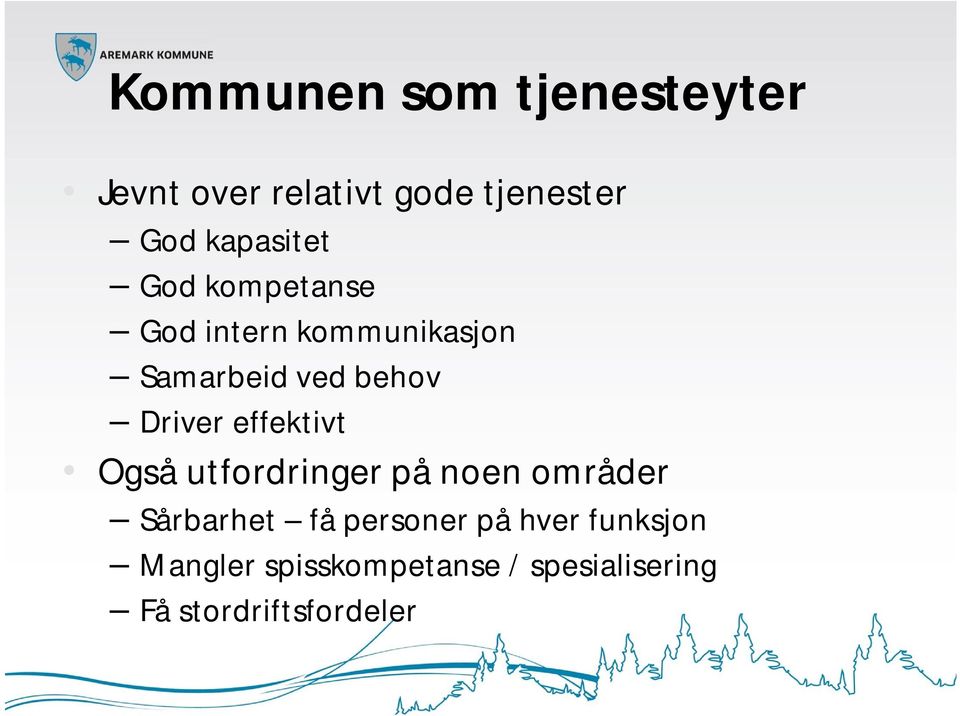 Driver effektivt Også utfordringer på noen områder Sårbarhet få