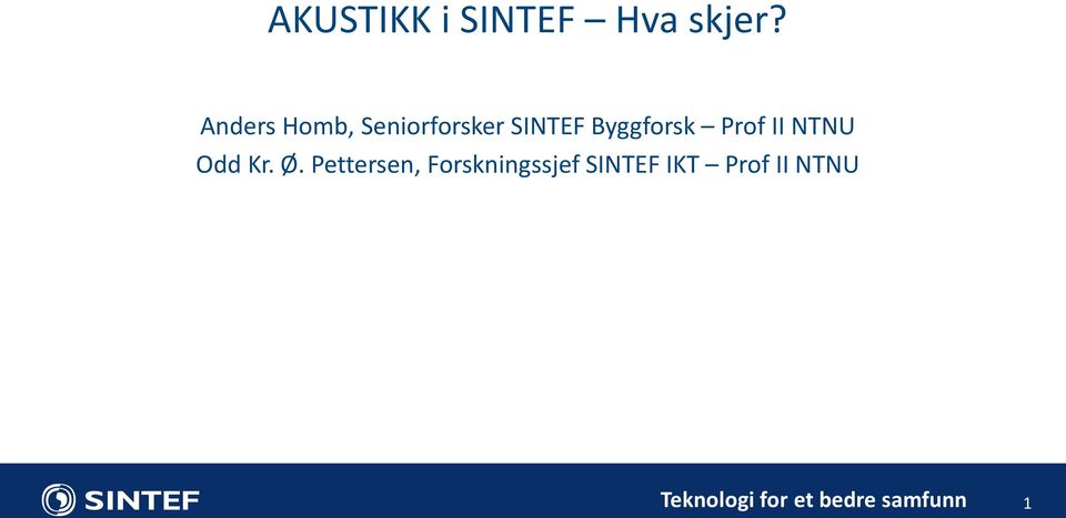 Prof II NTNU Odd Kr. Ø.