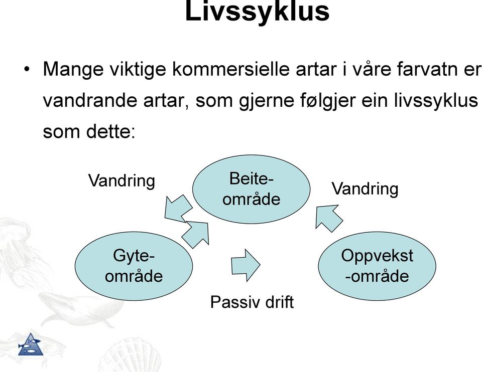 følgjer ein livssyklus som dette: Vandring