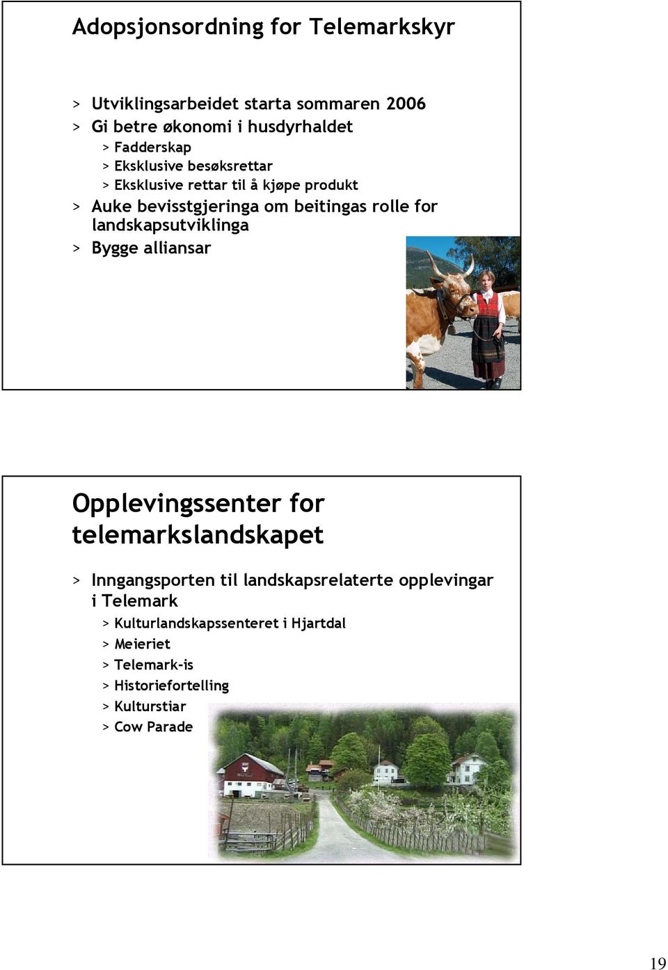 landskapsutviklinga > Bygge alliansar Opplevingssenter for telemarkslandskapet > Inngangsporten til landskapsrelaterte