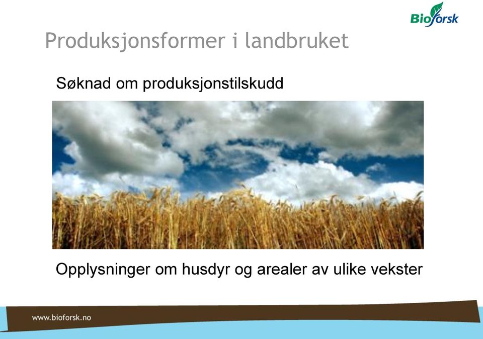 produksjonstilskudd