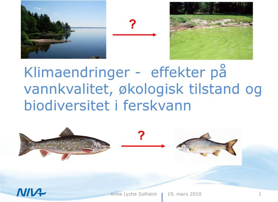 tilstand og biodiversitet i