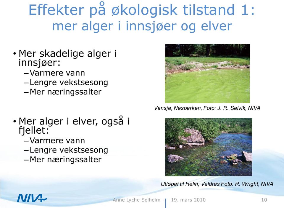 også i fjellet: Varmere vann Lengre vekstsesong Mer næringssalter Vansjø, Nesparken,