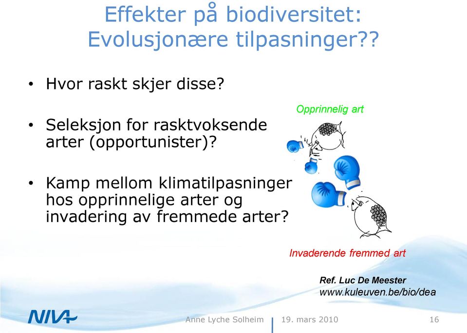 Opprinnelig art Kamp mellom klimatilpasninger hos opprinnelige arter og