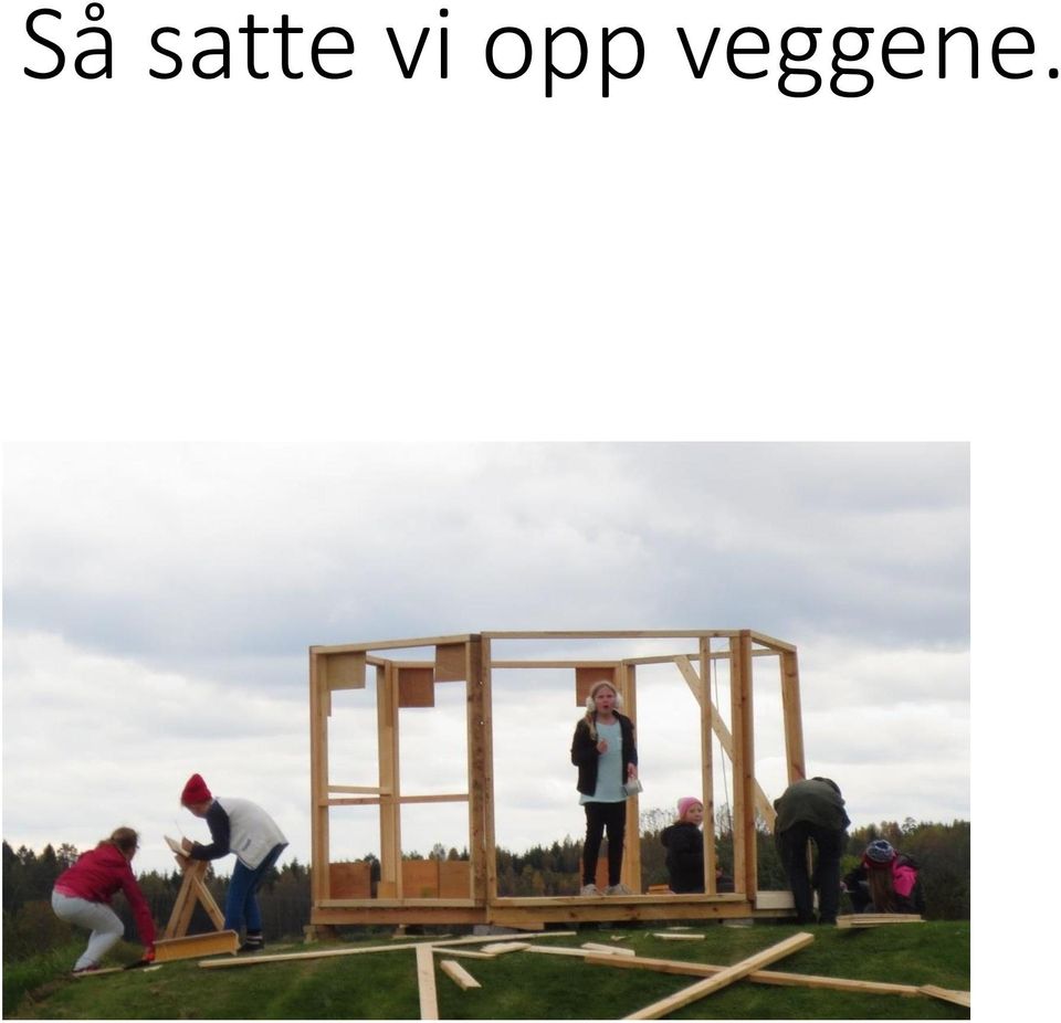 veggene.