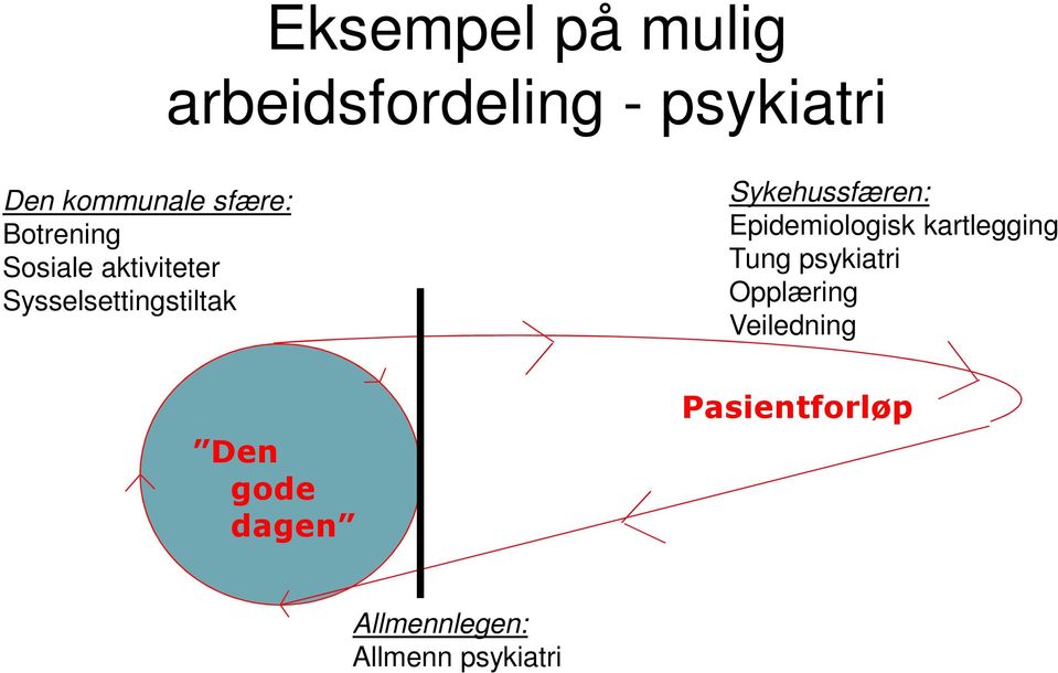 Sykehussfæren: Epidemiologisk kartlegging Tung psykiatri