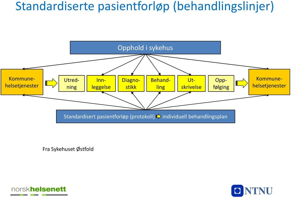 Innleggelse Diagnostikk Kommunehelsetjenester Standardisert