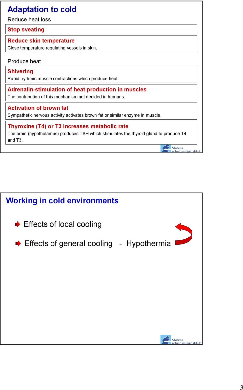 Adrenalin-stimulation of heat production in muscles The contribution of this mechanism not decided in humans.