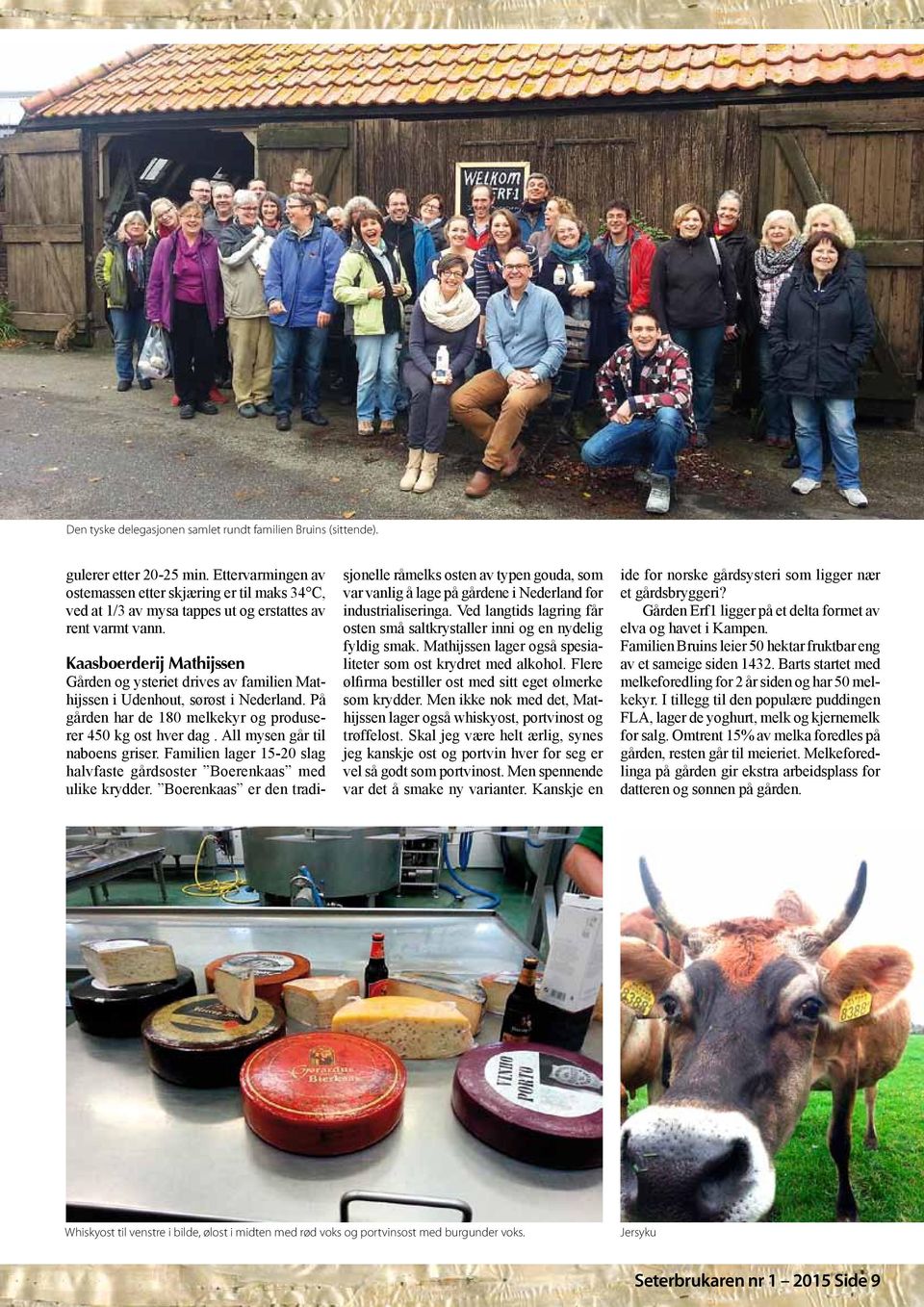 Kaasboerderij Mathijssen Gården og ysteriet drives av familien Mathijssen i Udenhout, sørøst i Nederland. På gården har de 180 melkekyr og produserer 450 kg ost hver dag.