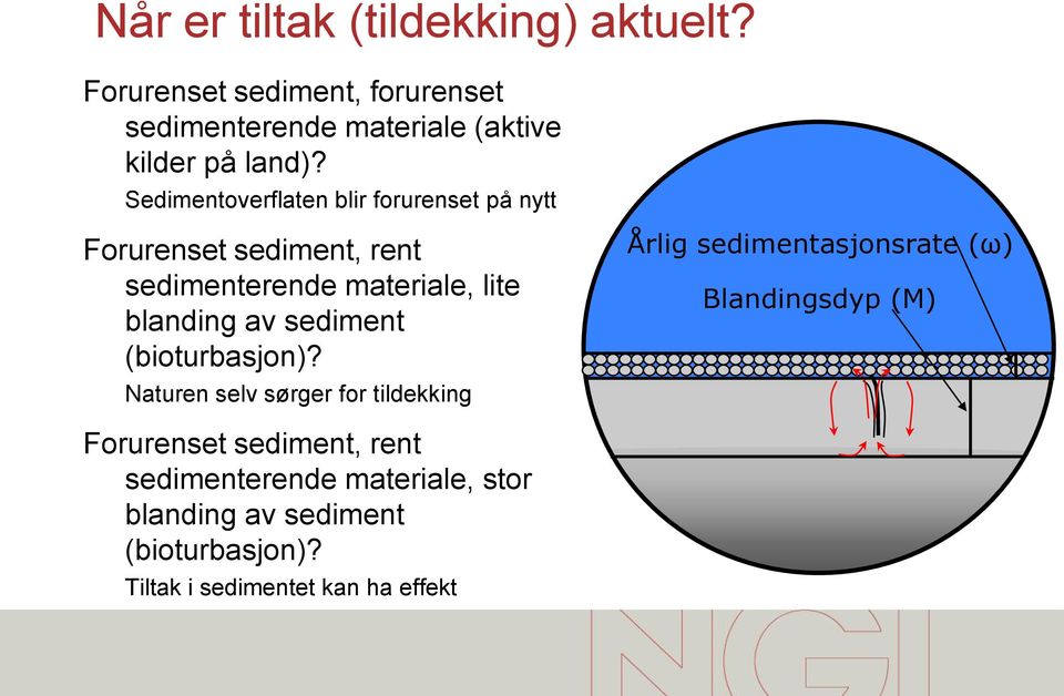 Sedimentoverflaten blir forurenset på nytt Forurenset sediment, rent sedimenterende materiale, lite blanding av