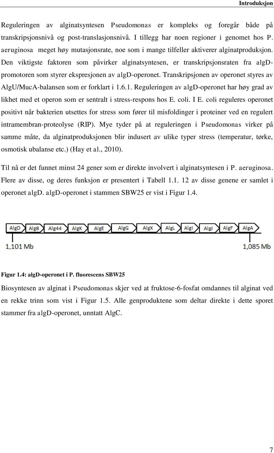 Den viktigste faktoren som påvirker alginatsyntesen, er transkripsjonsraten fra algdpromotoren som styrer ekspresjonen av algd-operonet.