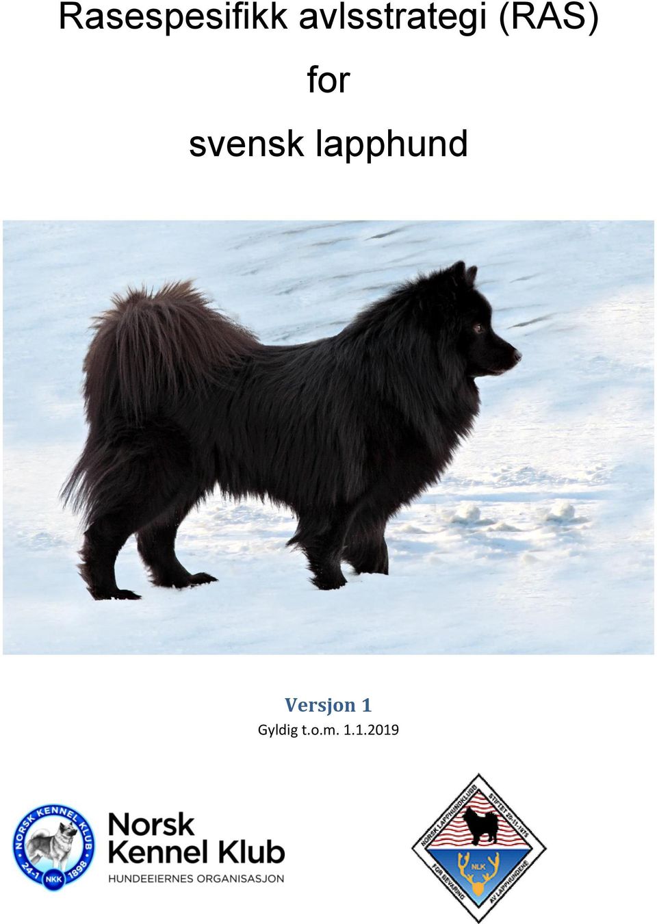 for svensk lapphund