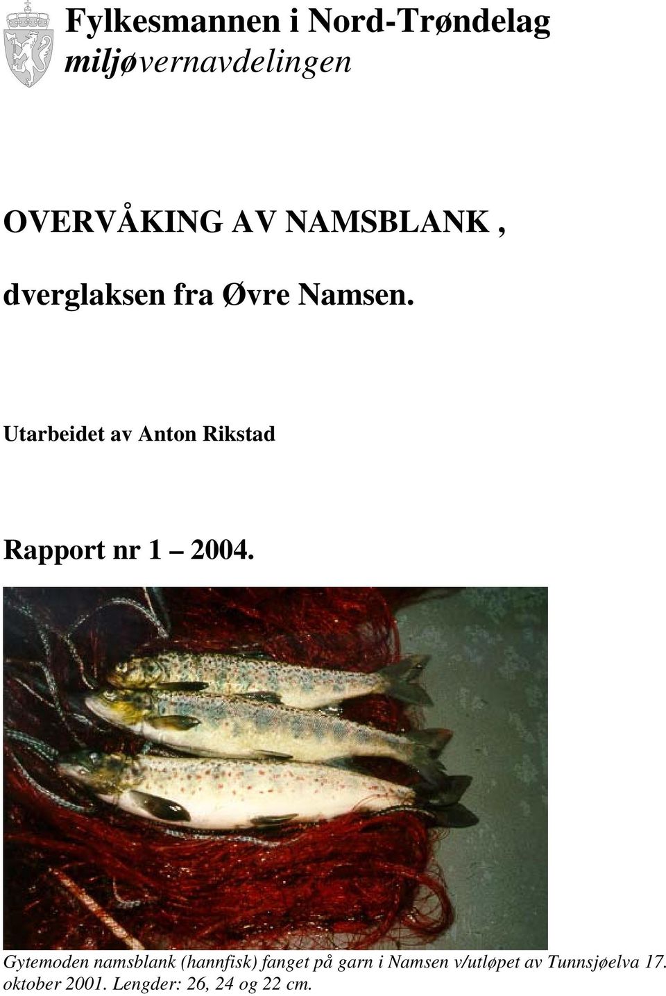 Utarbeidet av Anton Rikstad Rapport nr 1 2004.