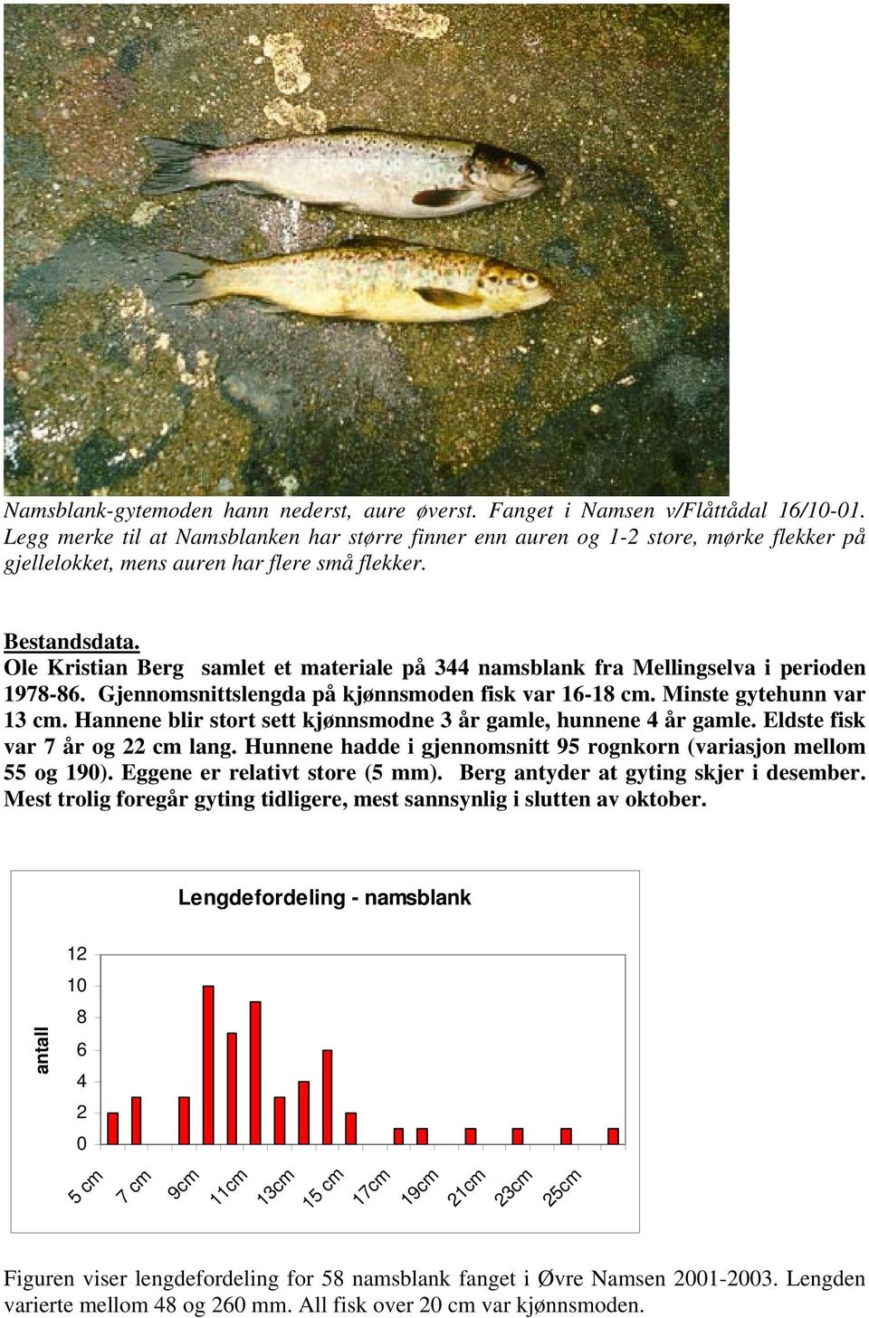 Ole Kristian Berg samlet et materiale på 344 namsblank fra Mellingselva i perioden 1978-86. Gjennomsnittslengda på kjønnsmoden fisk var 16-18 cm. Minste gytehunn var 13 cm.