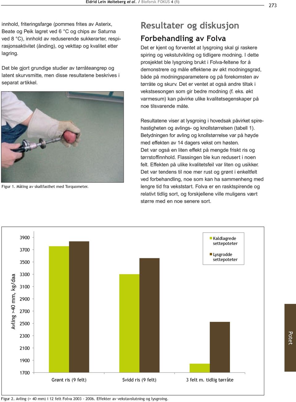 (ånding), og vekttap og kvalitet etter lagring. Det ble gjort grundige studier av tørråteangrep og latent skurvsmitte, men disse resultatene beskrives i separat artikkel.