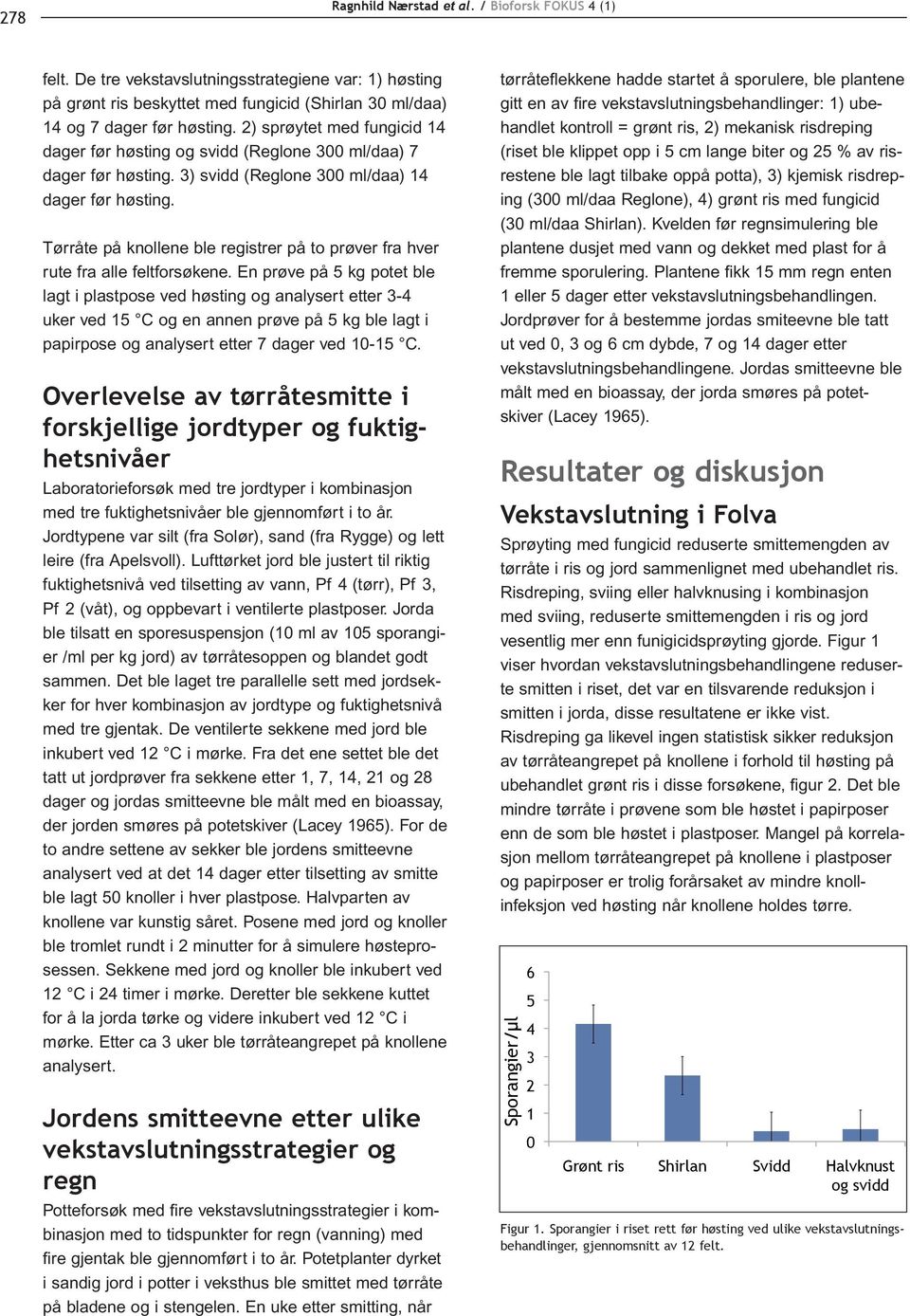 Tørråte på knollene ble registrer på to prøver fra hver rute fra alle feltforsøkene.