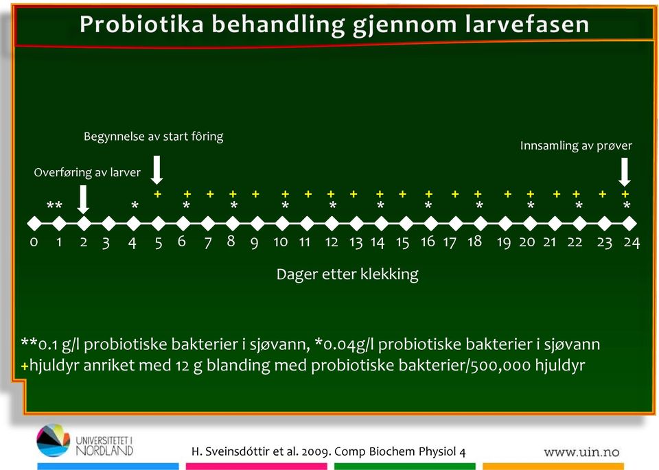 klekking **0.1 g/l probiotiske bakterier i sjøvann, *0.