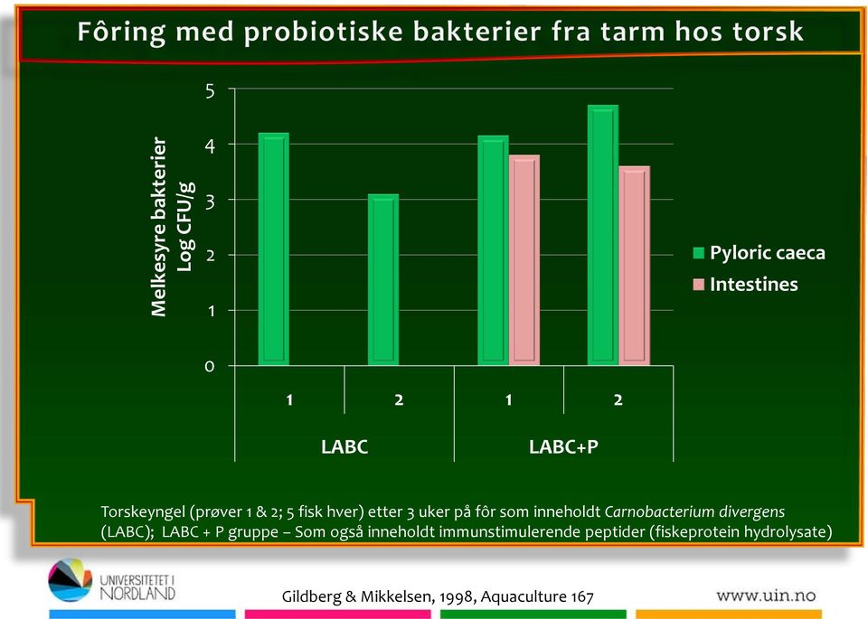 Carnobacterium divergens (LABC); LABC + P gruppe Som også inneholdt