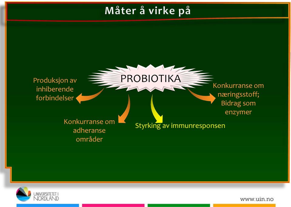 PROBIOTIKA Styrking av immunresponsen