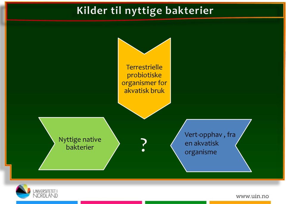 Nyttige native bakterier?