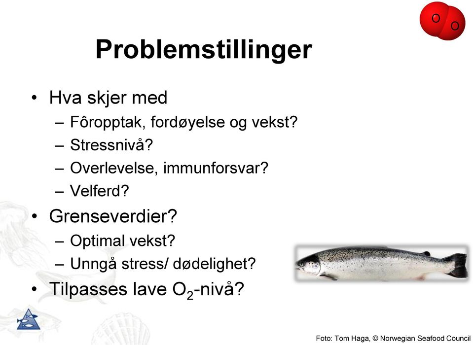 Grenseverdier? Optimal vekst? Unngå stress/ dødelighet?