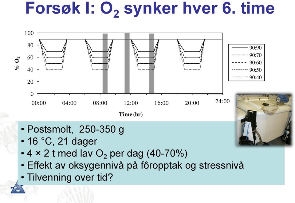 00:00 Time (hr) 90:90 90:70 90:60 90:50 90:40 Postsmolt, 250-350 g 16