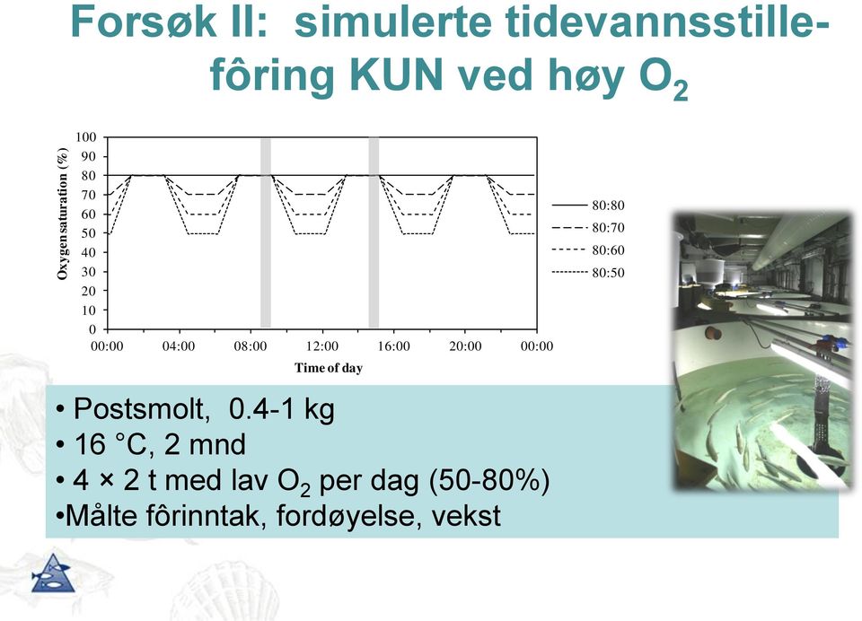 20:00 00:00 Time of day 80:80 80:70 80:60 80:50 Postsmolt, 0.