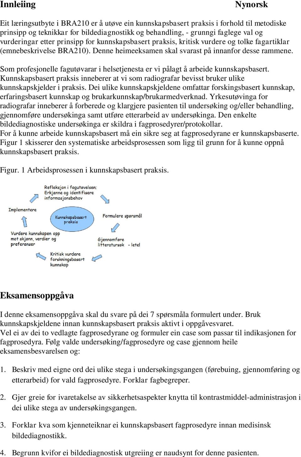 Som profesjonelle fagutøvarar i helsetjenesta er vi pålagt å arbeide kunnskapsbasert. Kunnskapsbasert praksis inneberer at vi som radiografar bevisst bruker ulike kunnskapskjelder i praksis.