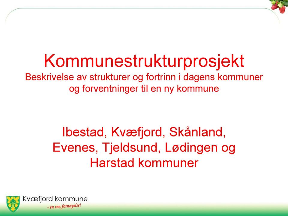 forventninger til en ny kommune Ibestad,