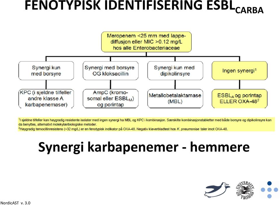 CARBA Synergi