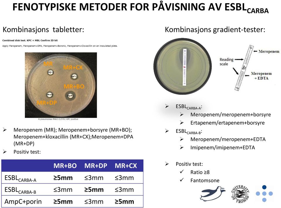 MR+DP MR+CX ESBL CARBA-A 5mm 3mm 3mm ESBL CARBA-B 3mm 5mm 3mm ESBL CARBA-A : Meropenem/meropenem+borsyre