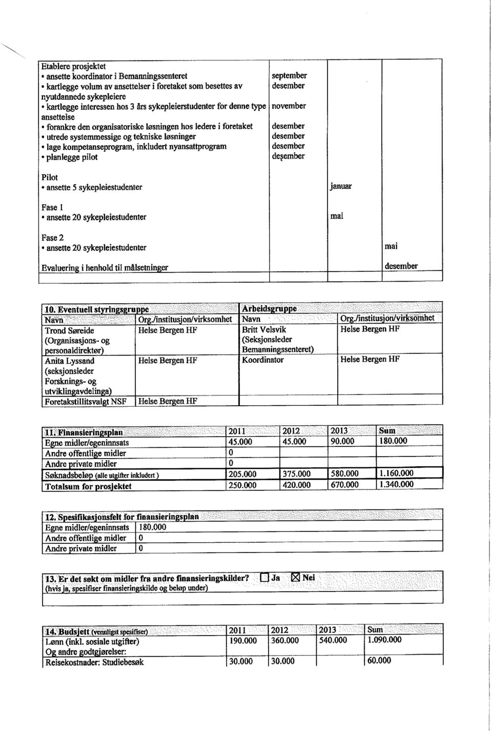 utrede systemmessige og tekniske losninger desember. lage kompetanseprogram, inkludert nyansattprogram desember. planlegge pilot degember Pilot. ansette 5 sykepleiestudenter Fase I.