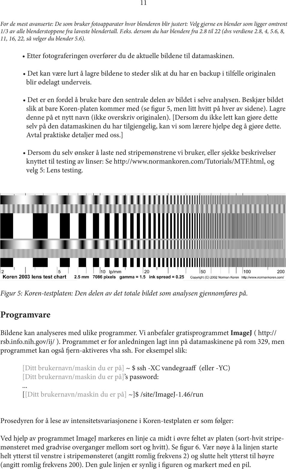 Det kan være lurt å lagre bildene to steder slik at du har en backup i tilfelle originalen blir ødelagt underveis. Det er en fordel å bruke bare den sentrale delen av bildet i selve analysen.