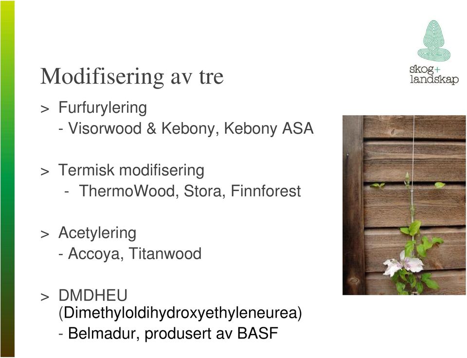 Finnforest > Acetylering - Accoya, Titanwood > DMDHEU