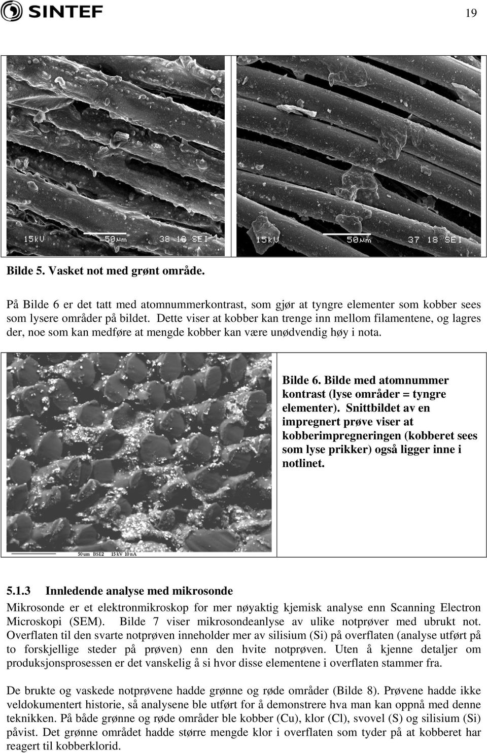 Bilde med atomnummer kontrast (lyse områder = tyngre elementer). Snittbildet av en impregnert prøve viser at kobberimpregneringen (kobberet sees som lyse prikker) også ligger inne i notlinet. 5.1.