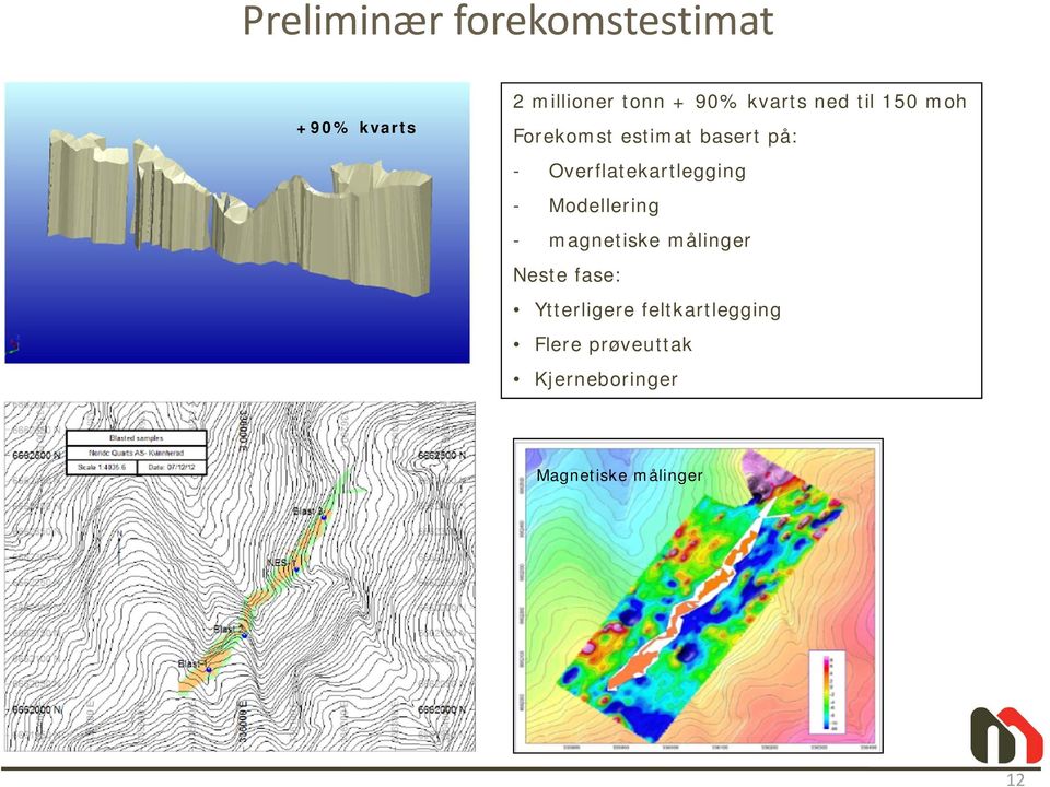 Overflatekartlegging - Modellering - magnetiske målinger Neste