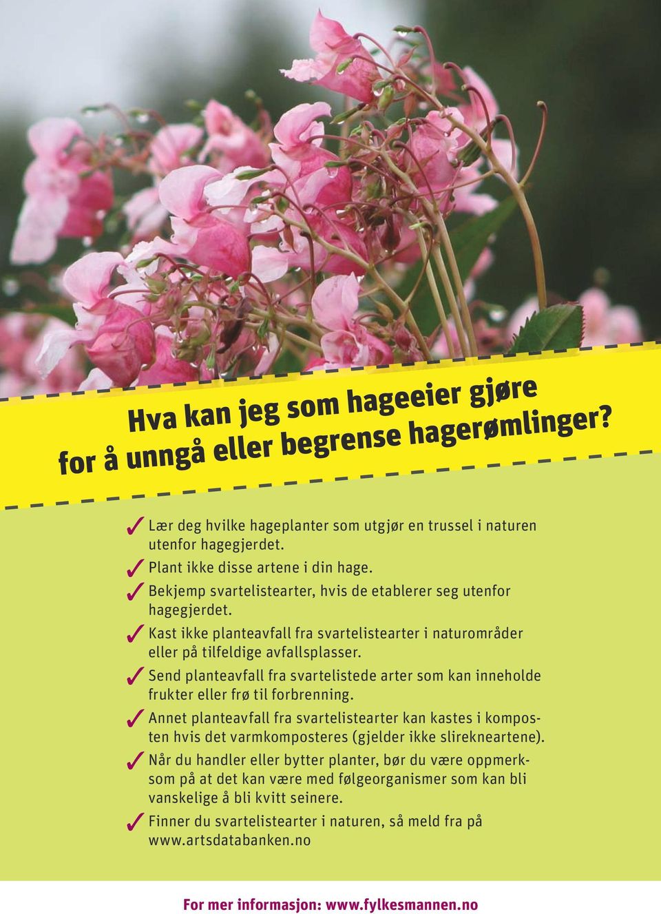 Send planteavfall fra svartelistede arter som kan inneholde frukter eller frø til forbrenning.