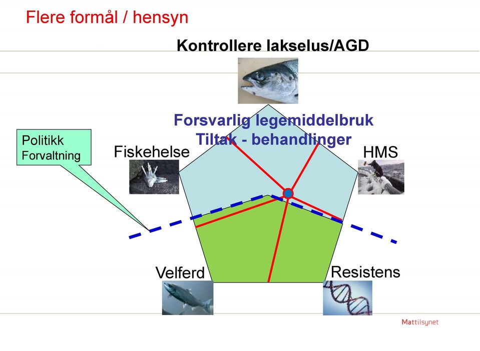 Forsvarlig legemiddelbruk Tiltak -