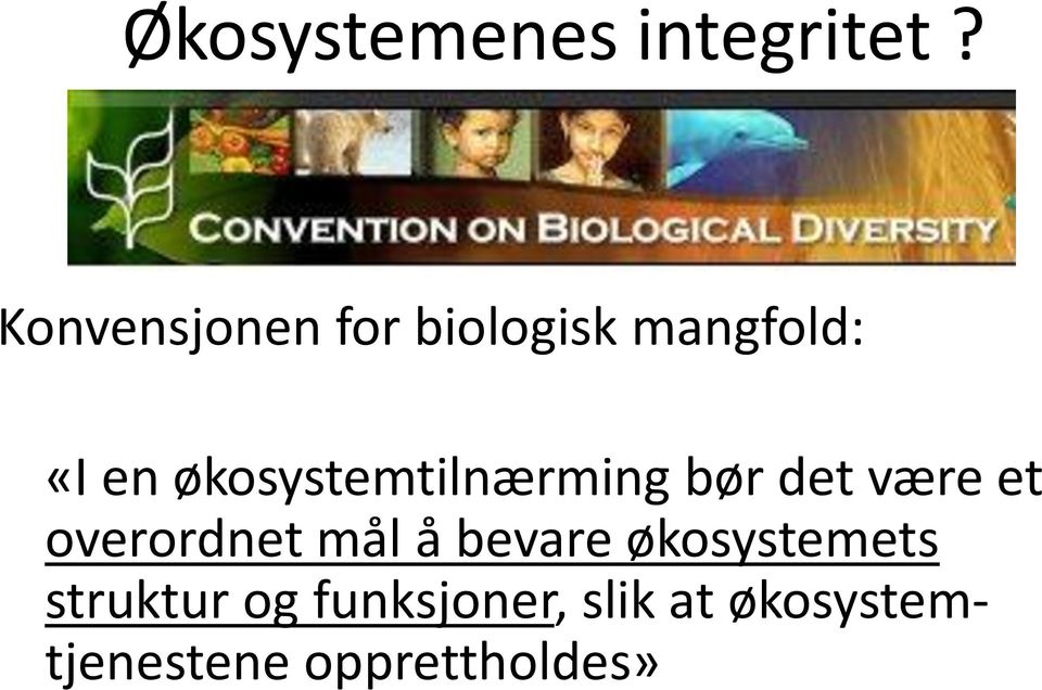 økosystemtilnærming bør det være et overordnet mål