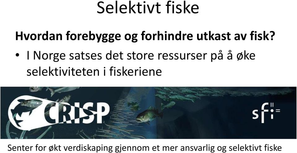 I Norge satses det store ressurser på å øke