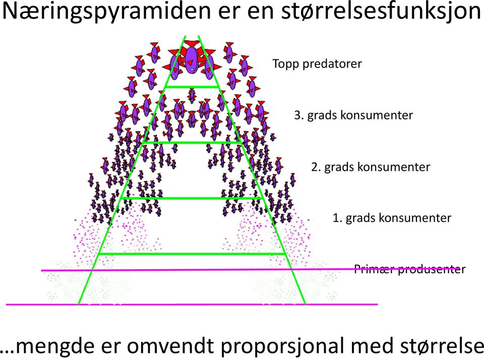 grads konsumenter 1.