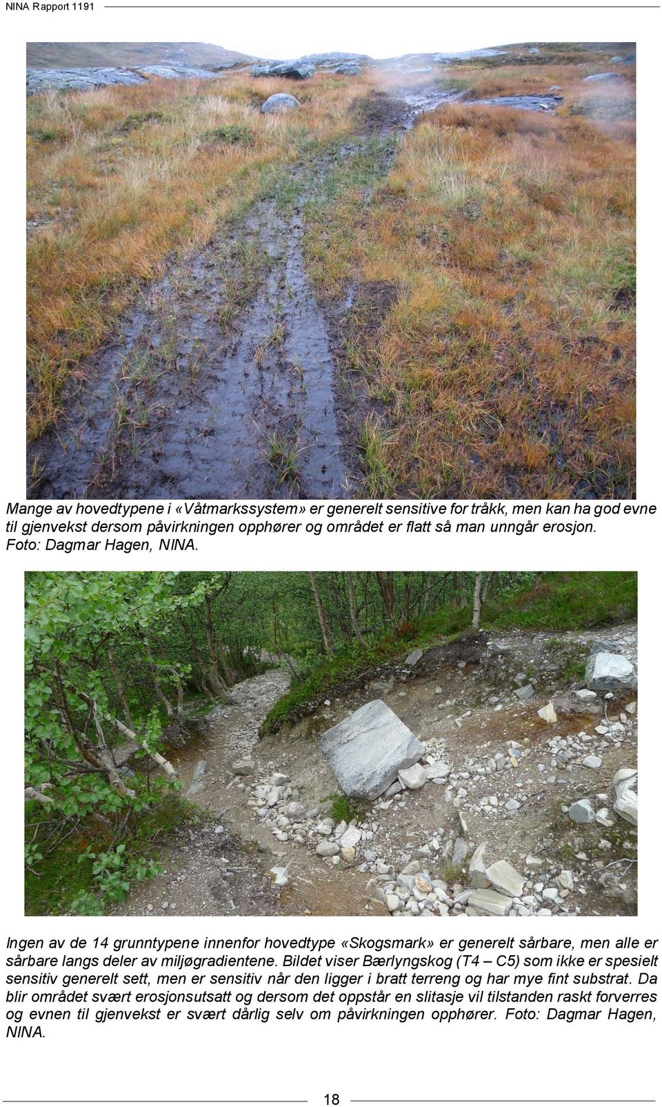 Bildet viser Bærlyngskog (T4 C5) som ikke er spesielt sensitiv generelt sett, men er sensitiv når den ligger i bratt terreng og har mye fint substrat.