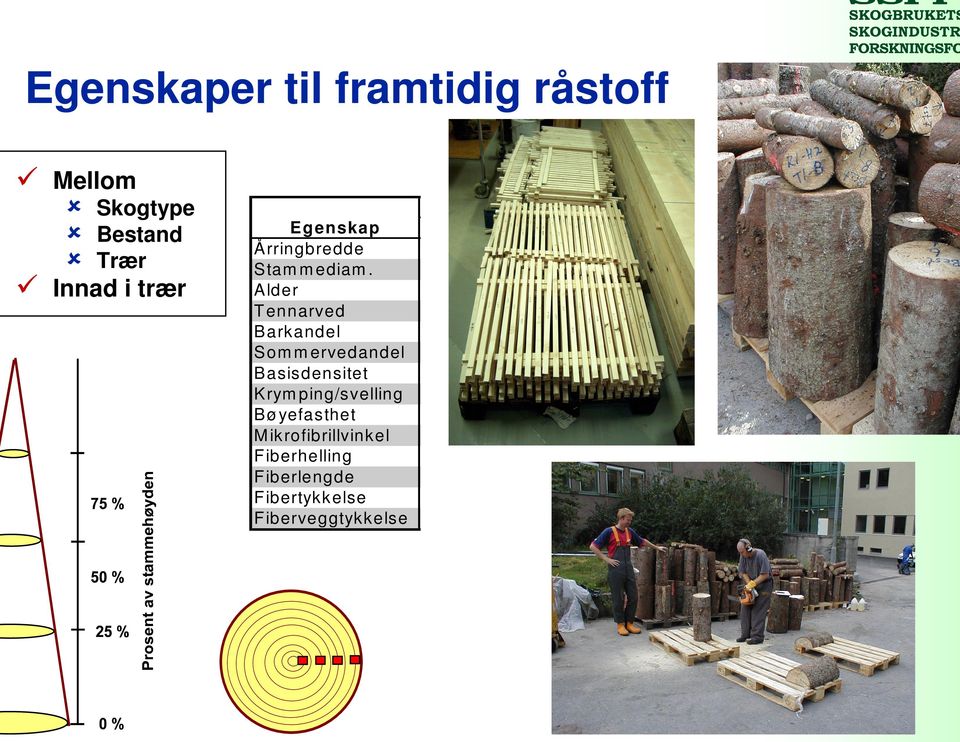 Alder T ennarved Bark andel Som m ervedandel Basisdensitet Krym