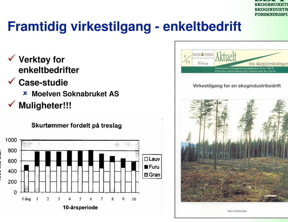 enkeltbedrifter Case-studie